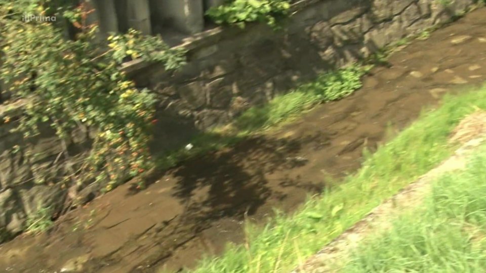 30. 5. 2018 ZPRÁVY: OPATŘENÍ PROTI SUCHU BLOKUJÍ VLASTNÍCI PŮDY I NELOGICKÉ DOTACE